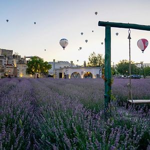 Design Cappadocia Hotel